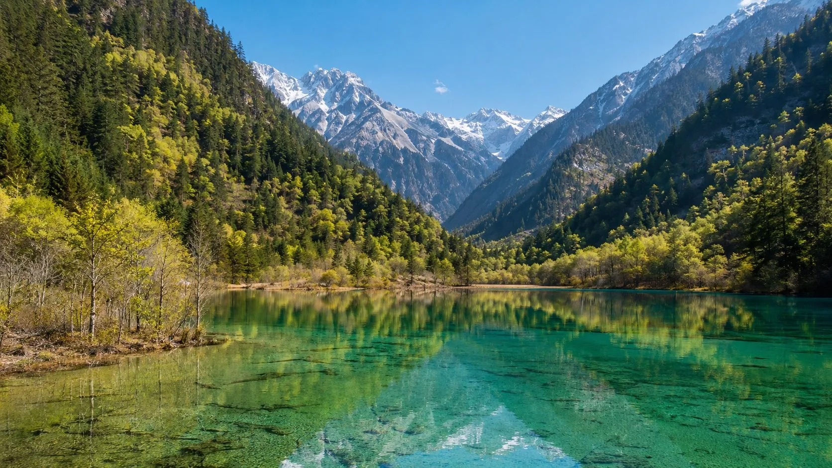 九寨溝高山湖泊與森林景觀