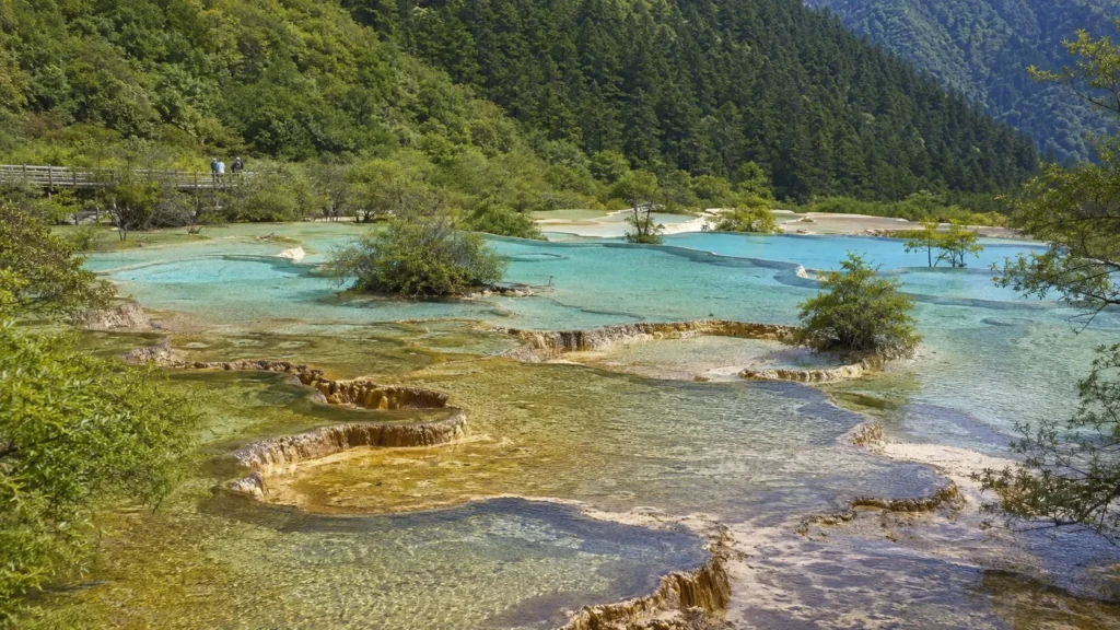 黃龍高山森林中的天然鈣華彩池