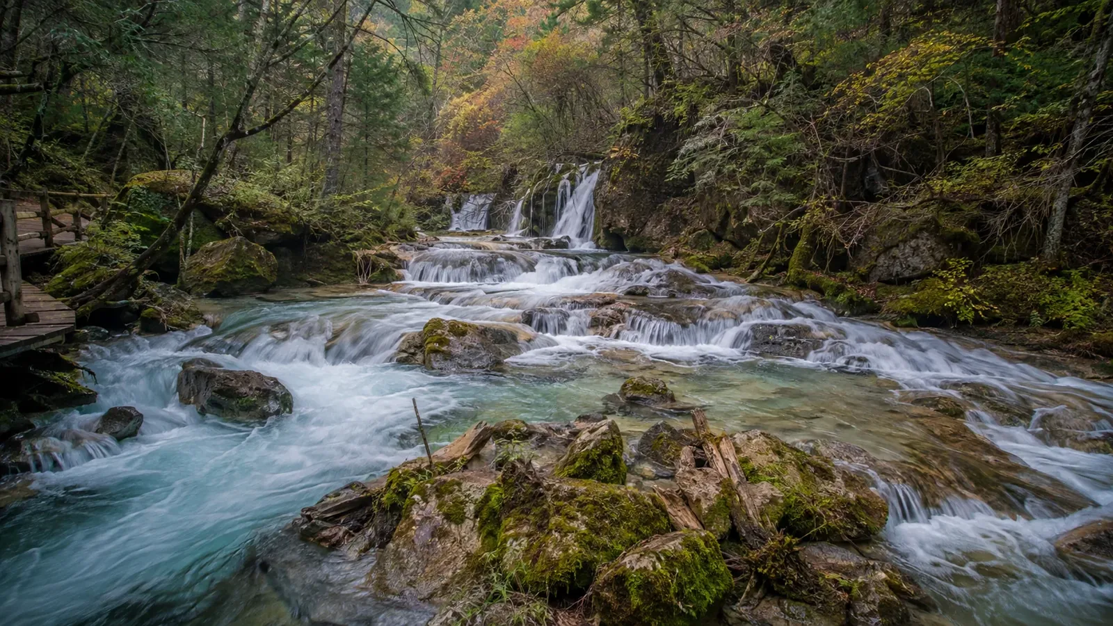Forest waterfall flowing through clear water and green valley scenery in Jiuzhaigou