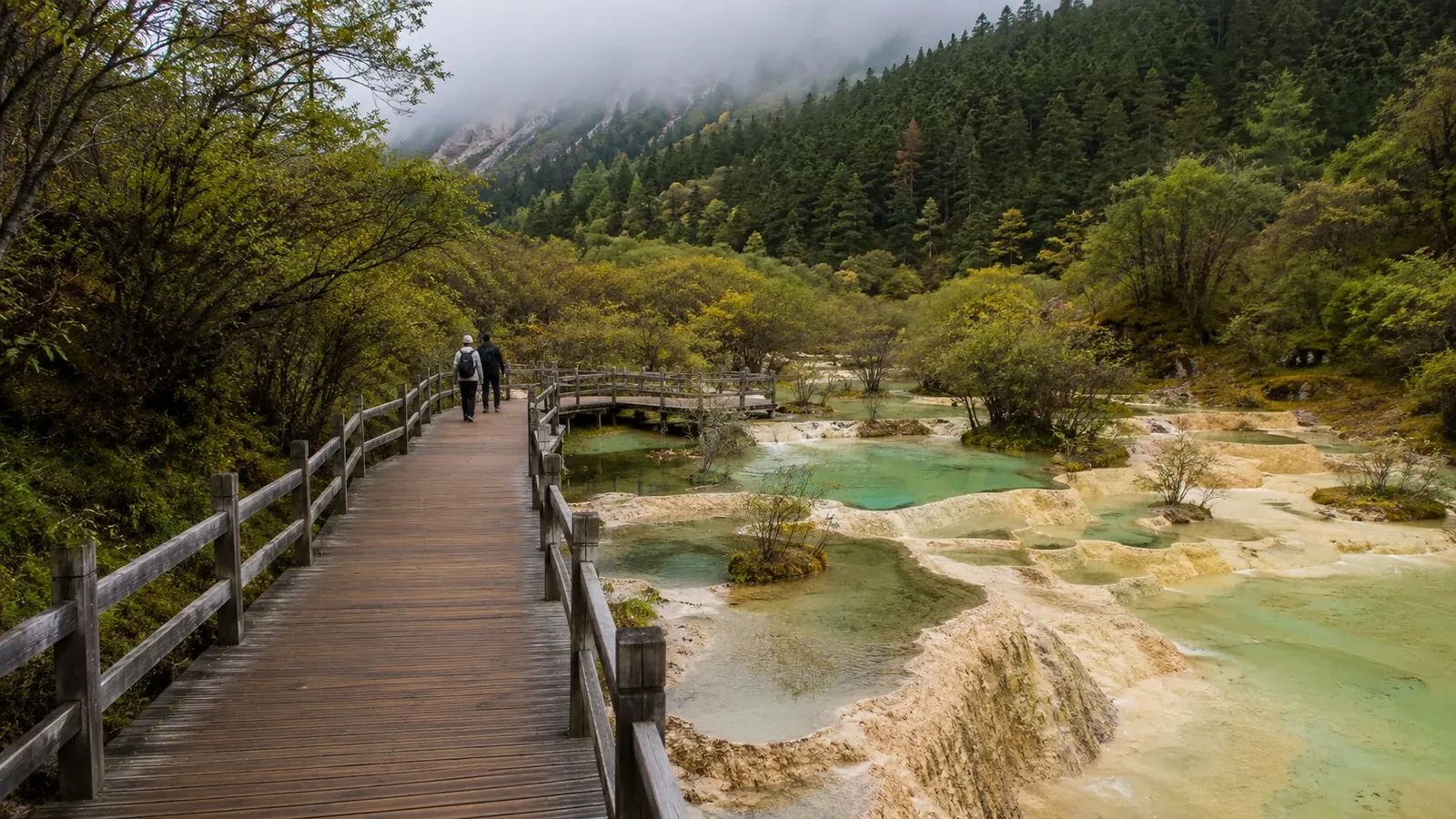 Wooden visitor boardwalk beside forest and natural travertine water in Huanglong Scenic Area