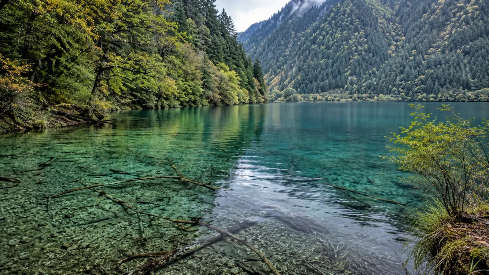 Clear alpine lake framed by forest and mountains in Jiuzhaigou Valley, Sichuan